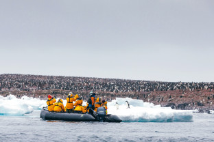 Zodiac Cruise