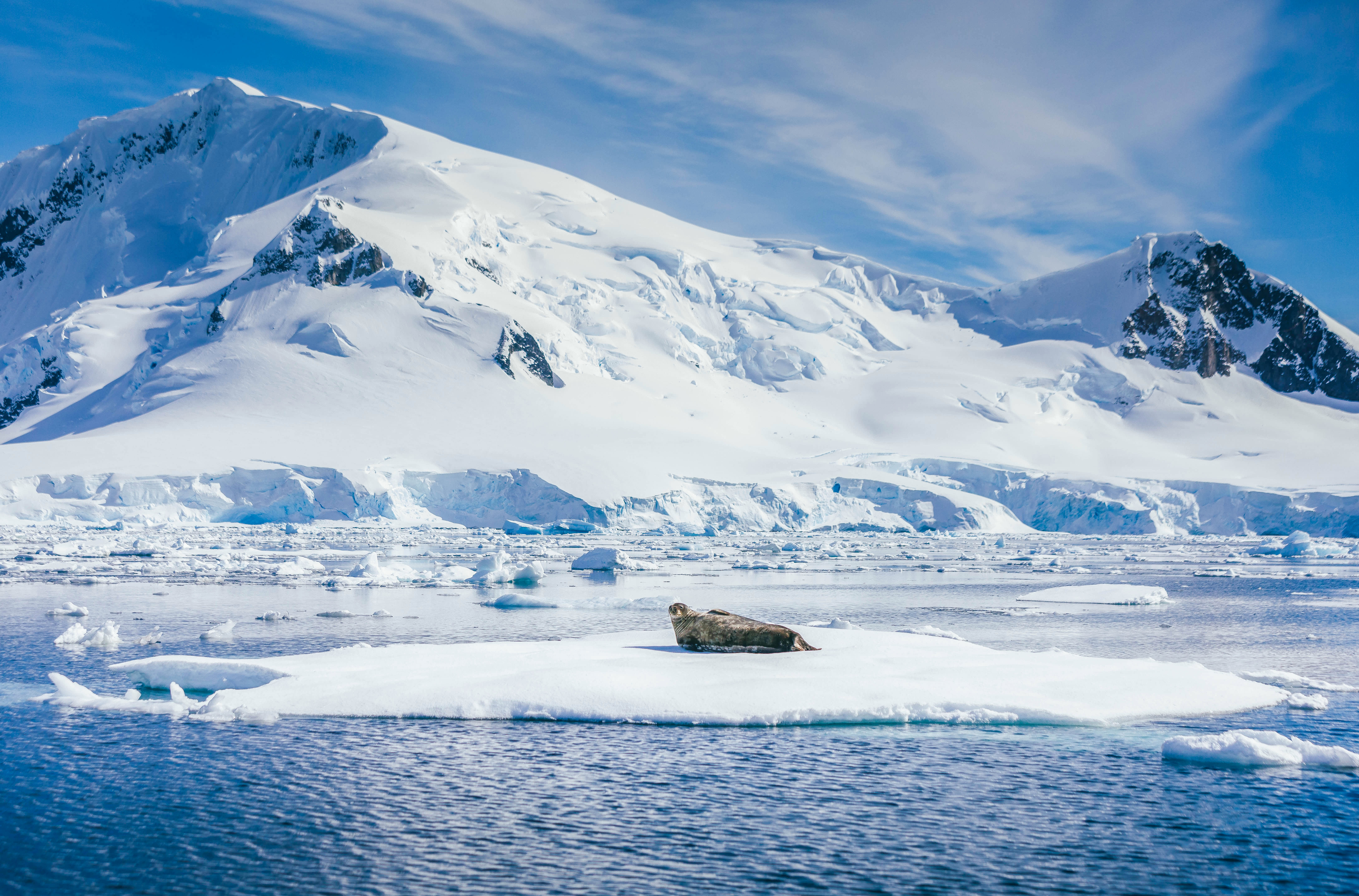 Antarctic Peninsula: A Rare Exploration of the Weddell Sea