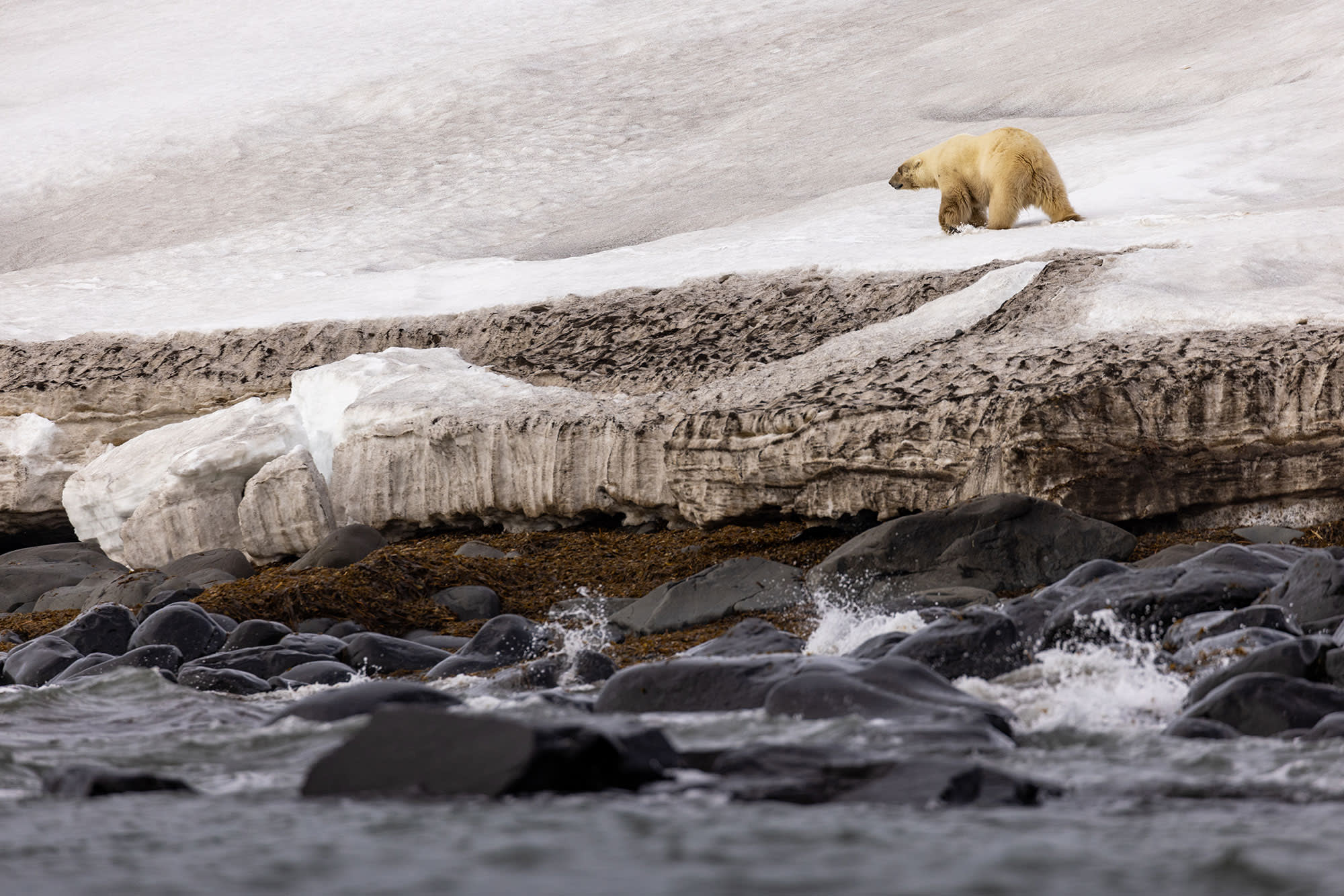 Spitsbergen Circumnavigation: A Rite of Passage