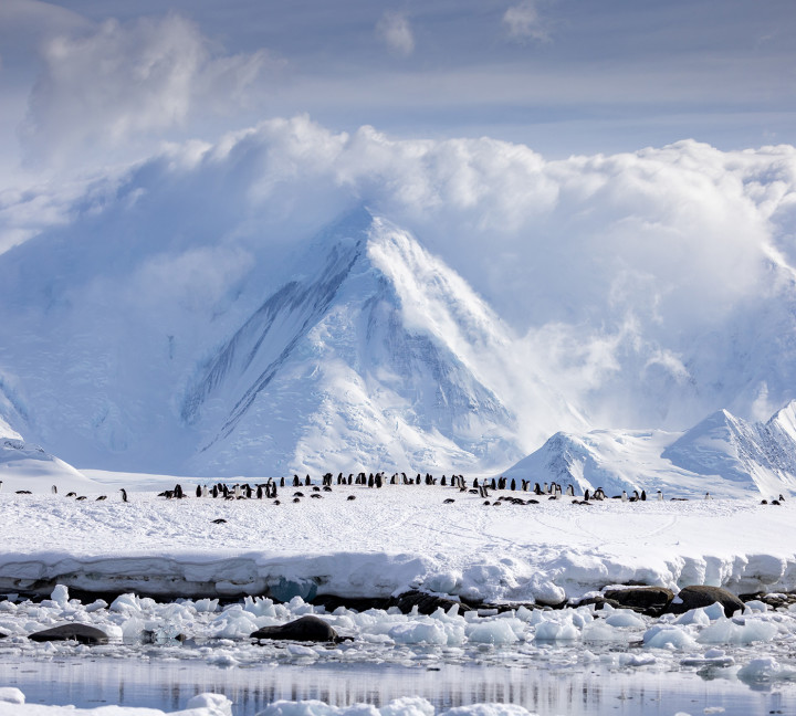 Antarctic Peninsula: Crossing the Circle