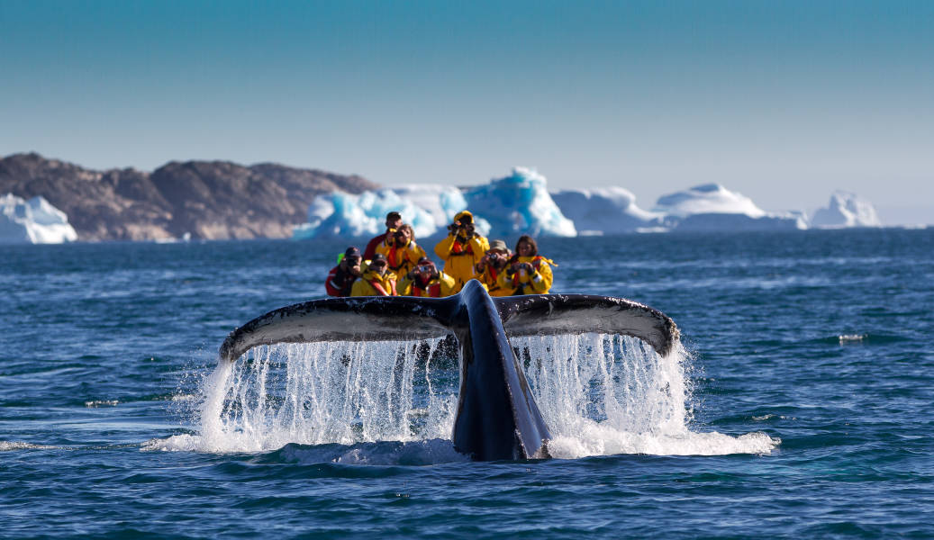 South Greenland: Alpine Exploration by Helicopter