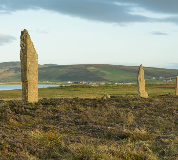 Scotland to Spitsbergen: Puffins, Sea Ice and Wildlife