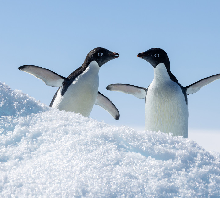 Antarctica by Helicopter: Crossing the Circle and the Peninsula