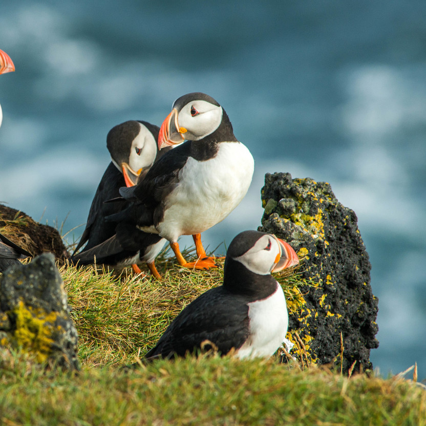Iceland Circumnavigation: Mountains, Volcanoes and Waterfalls