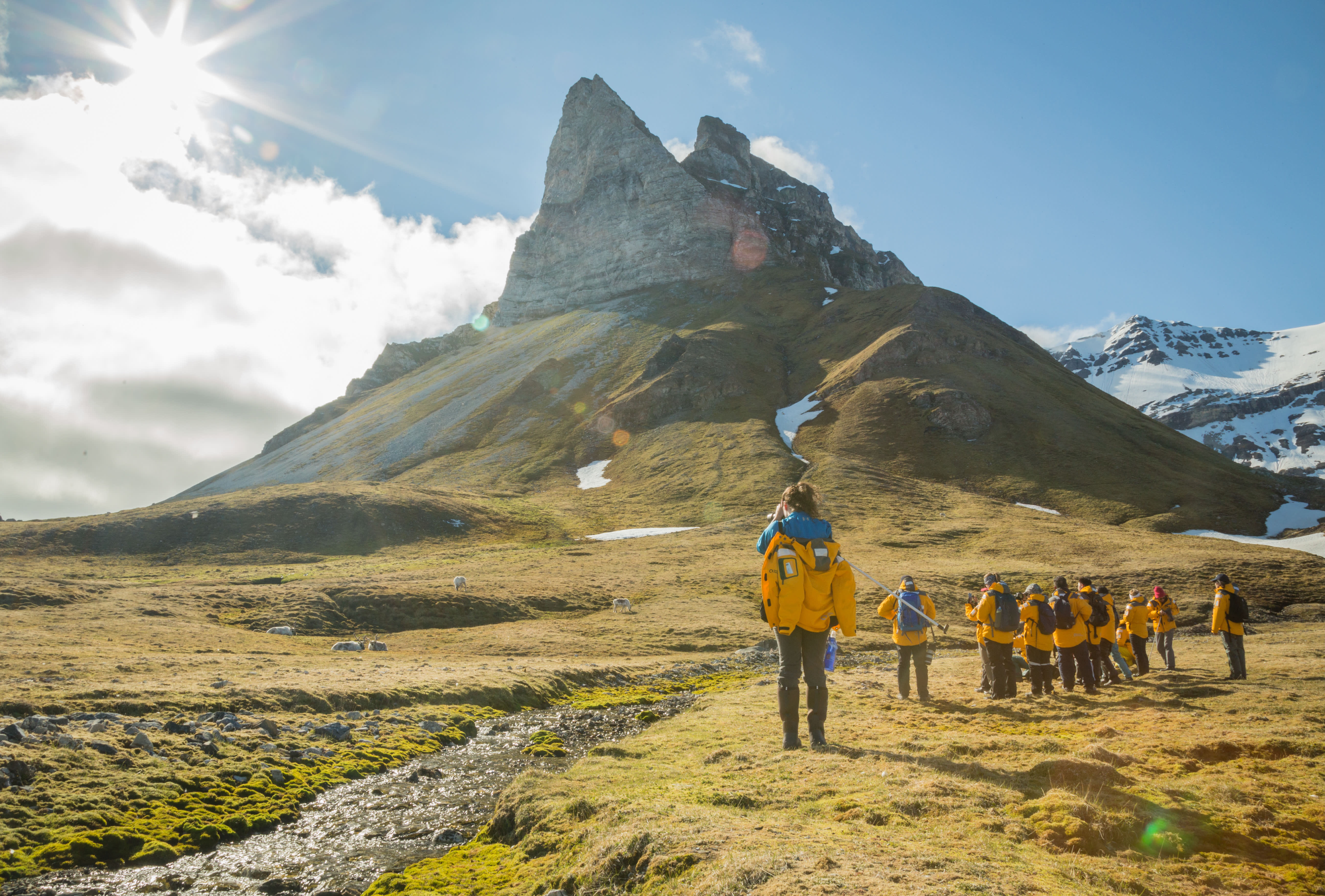 Spitsbergen Highlights: Wildlife Capital of the Arctic
