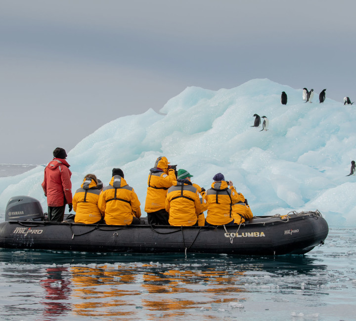 Zodiac cruising near penguins