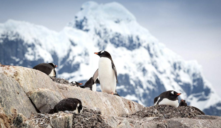 The Antarctic Circle