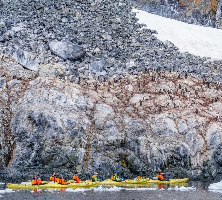 A group of kayakers paddle past gentoo penguins sitting on a rock formation.