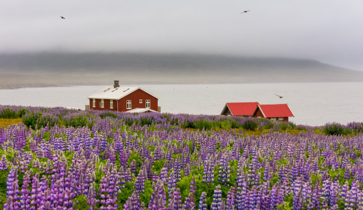 East Iceland