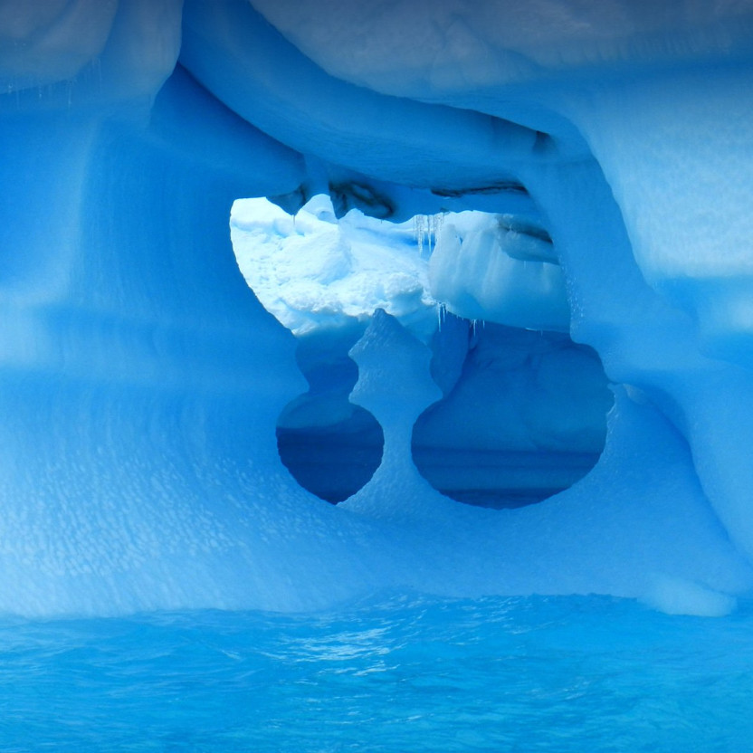 Antarctic Express: Fly South, Sail North
