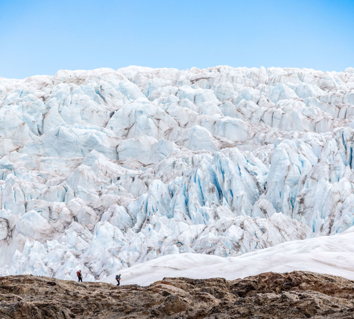 Spitsbergen Highlights: Wildlife Capital of the Arctic