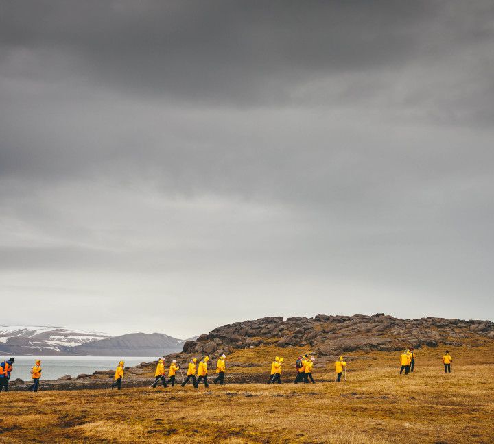 Svalbard in Summer: Tundra, Whales and the Midnight Sun