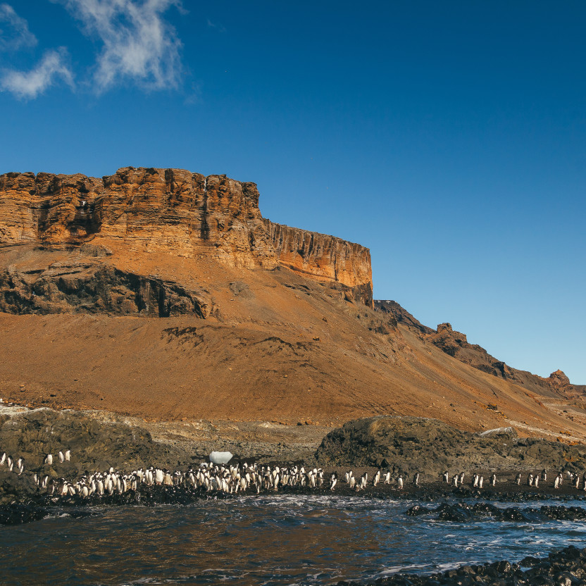 Antarctic Peninsula: A Rare Exploration of the Weddell Sea