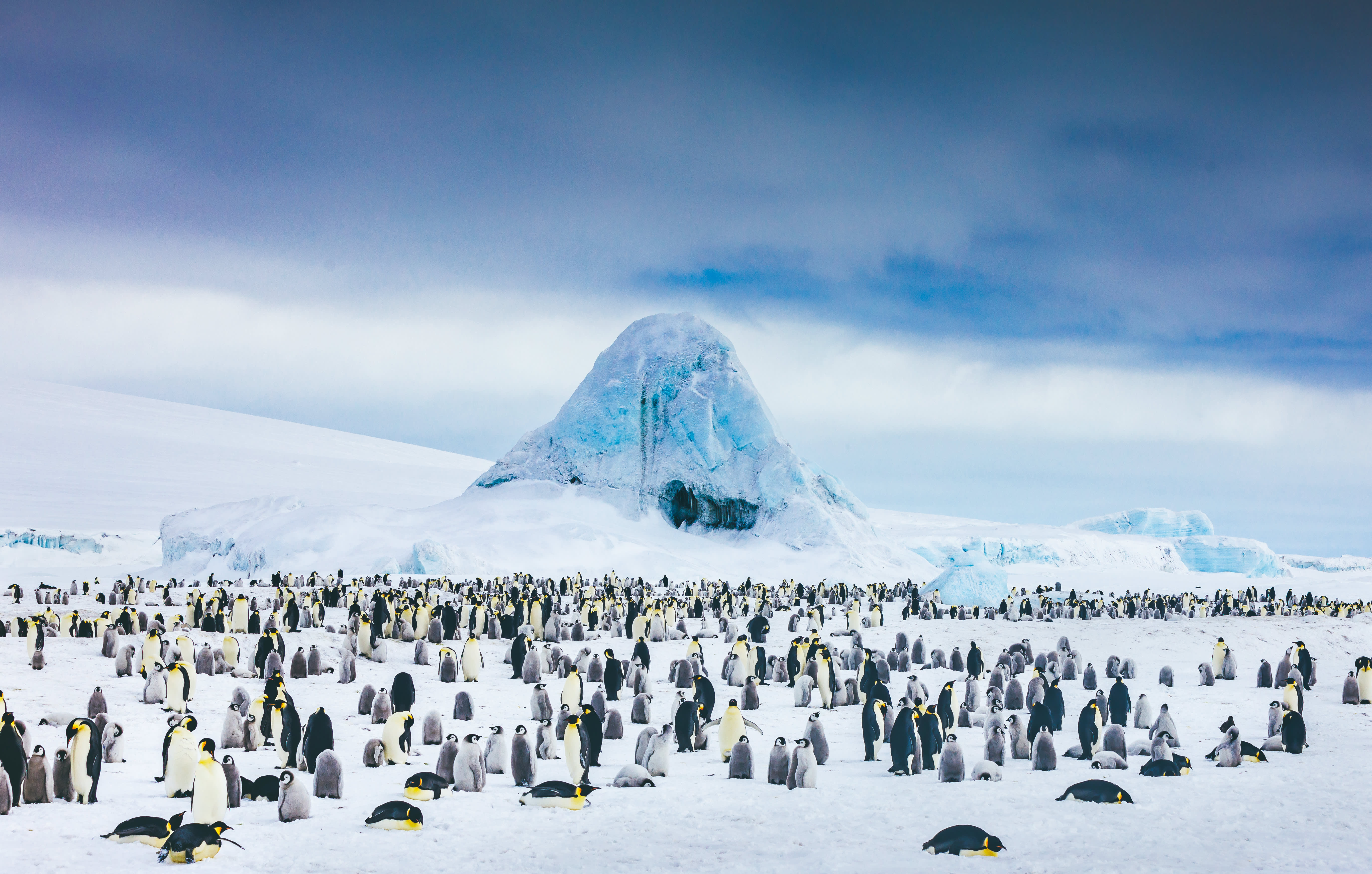 Snow Hill to the Peninsula: Shackleton’s Emperors
