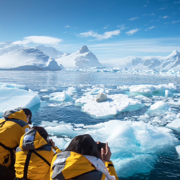 The Antarctic Peninsula