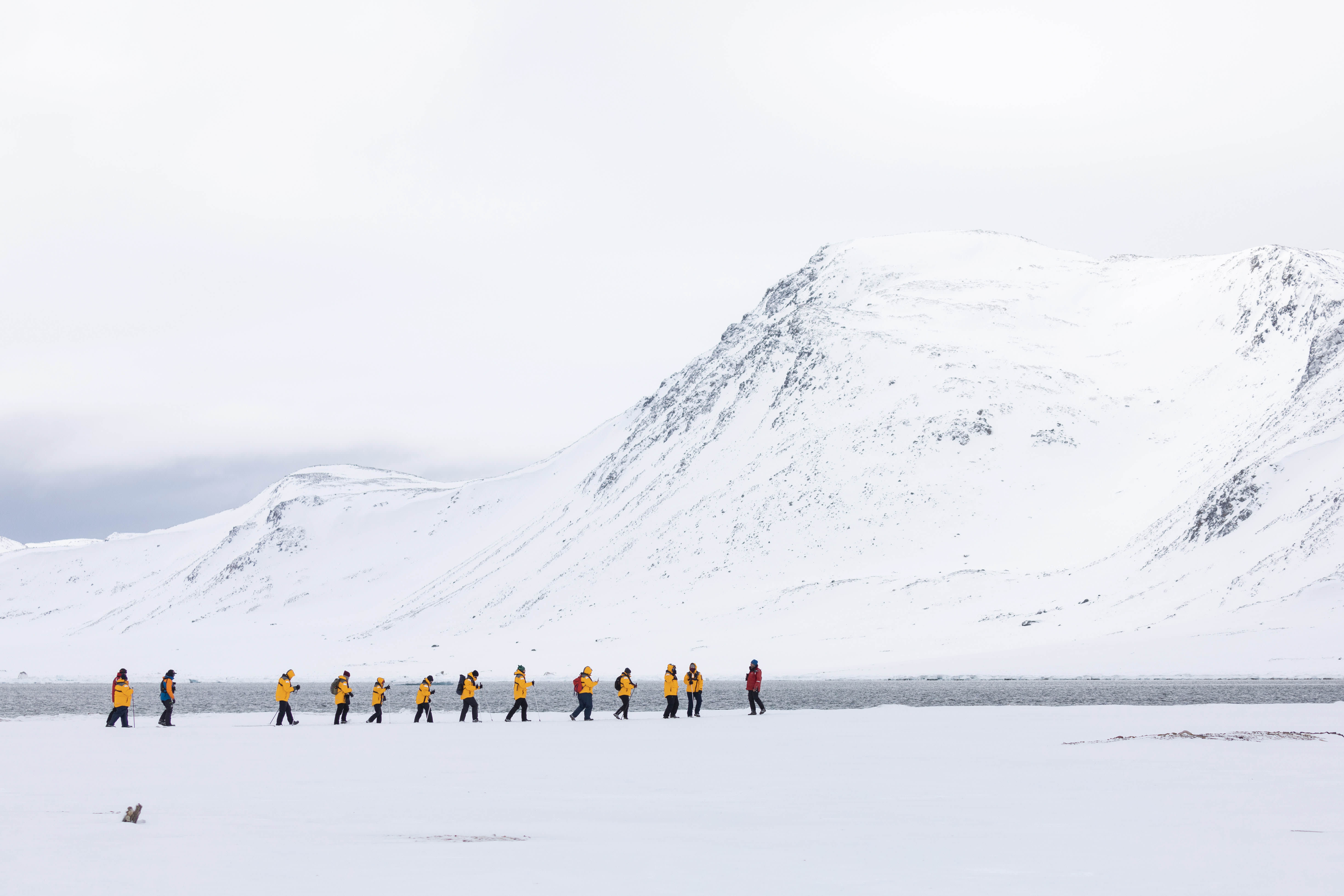 Svalbard in Spring: Sea Ice, Pristine Snow and Wildlife