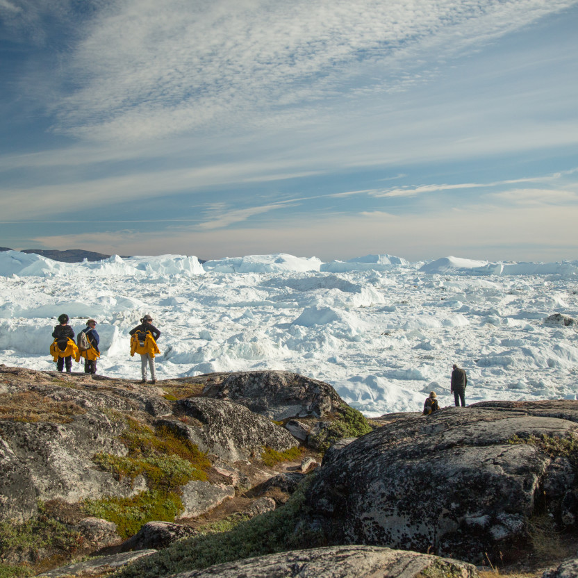 Greenland to Newfoundland: Mountains, Wildlife and Viking History