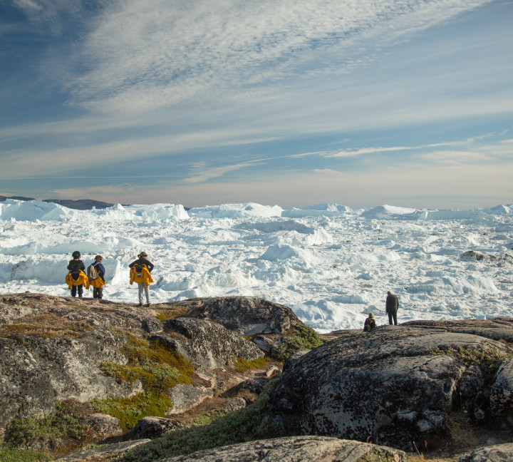 Greenland to Newfoundland: Mountains, Wildlife and Viking History