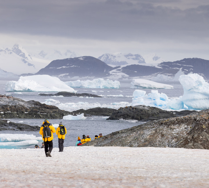 Antarctic Marine Mammals: The World of Whales and Seals