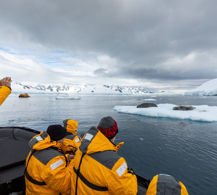 Antarctic Marine Mammals: The World of Whales and Seals