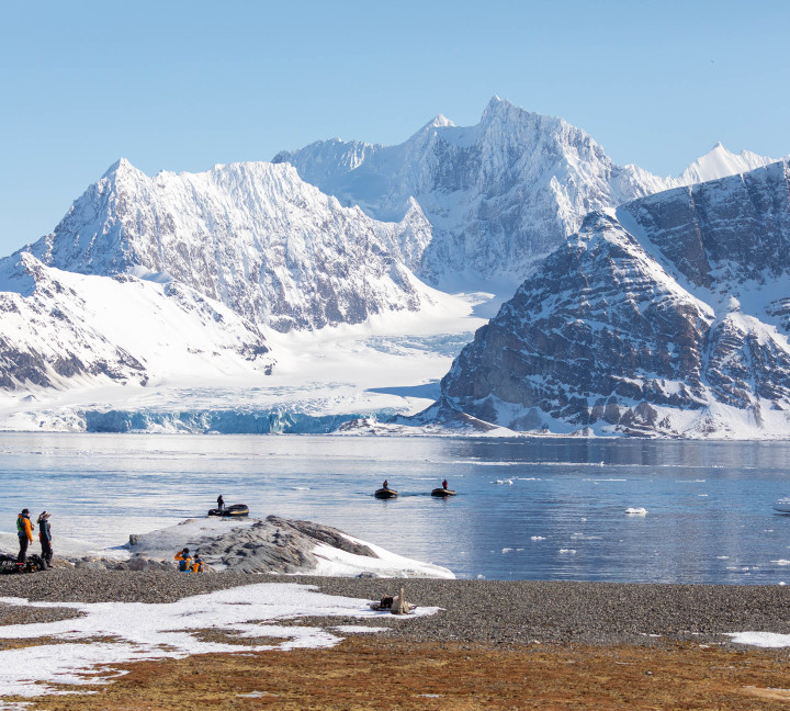 Scotland to Spitsbergen: Puffins, Sea Ice and Wildlife