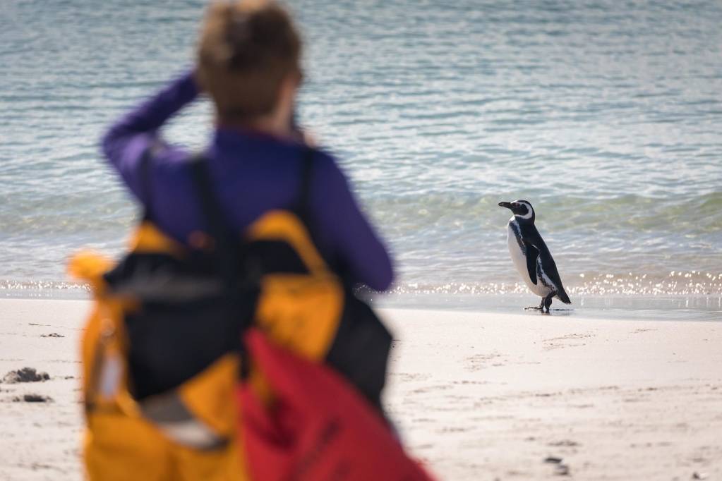 How to choose between the Arctic and Antarctic for your Polar Voyage
