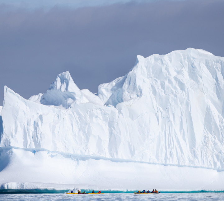 Antarctic Marine Mammals: The World of Whales and Seals