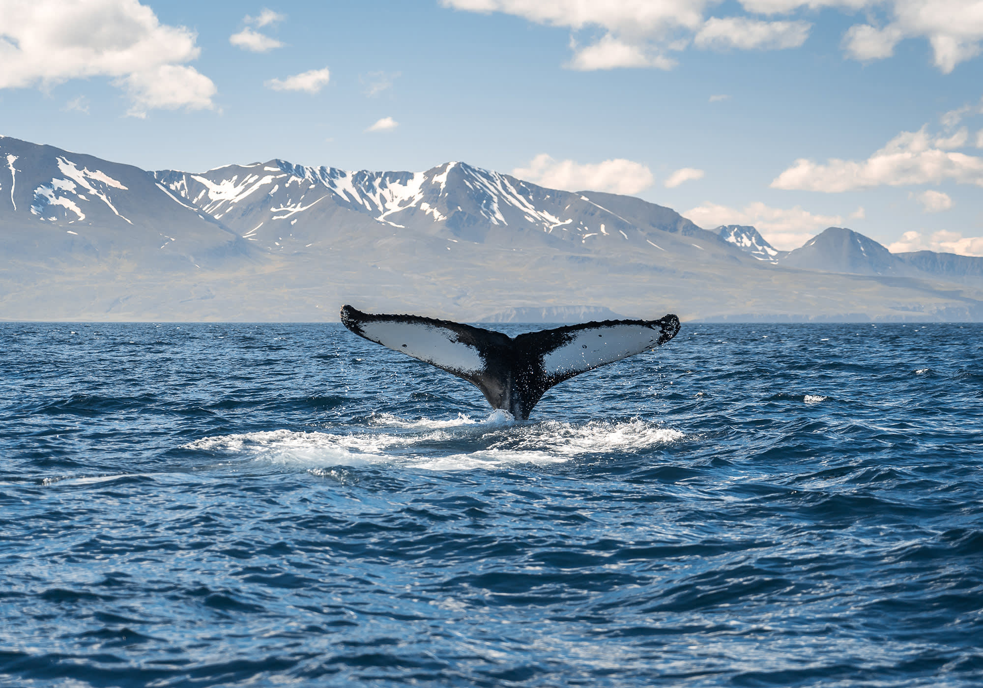 Iceland Circumnavigation: Helicopters, Glaciers and Volcanoes
