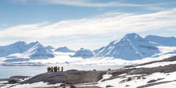 Svalbard landscape