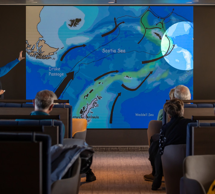 Antarctic Marine Mammals: The World of Whales and Seals