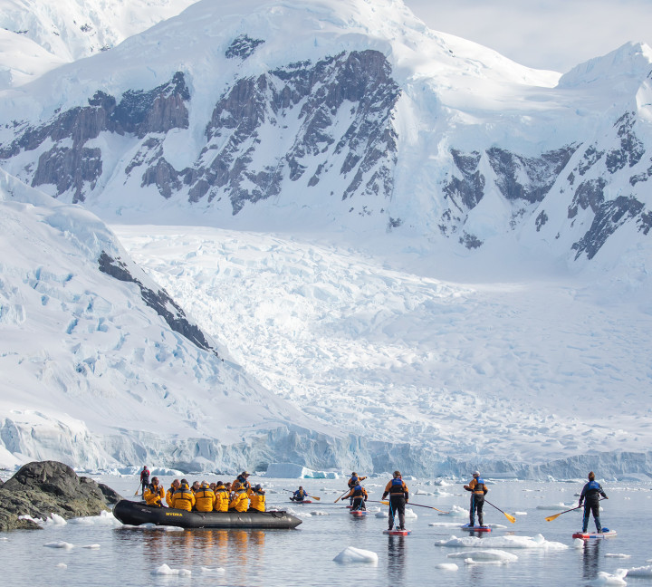 Antarctic Marine Mammals: The World of Whales and Seals