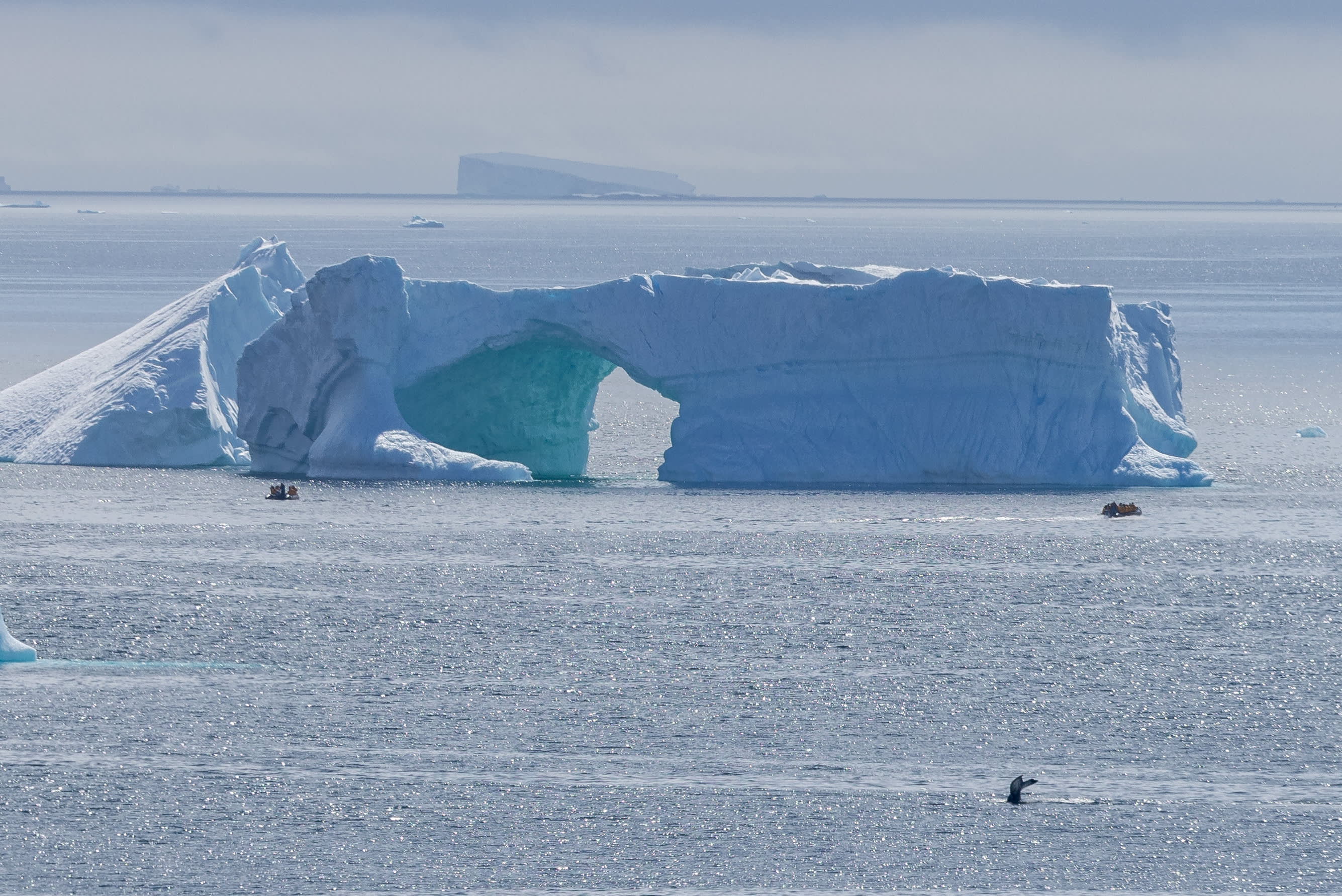 Antarctic Peninsula: A Rare Exploration of the Weddell Sea