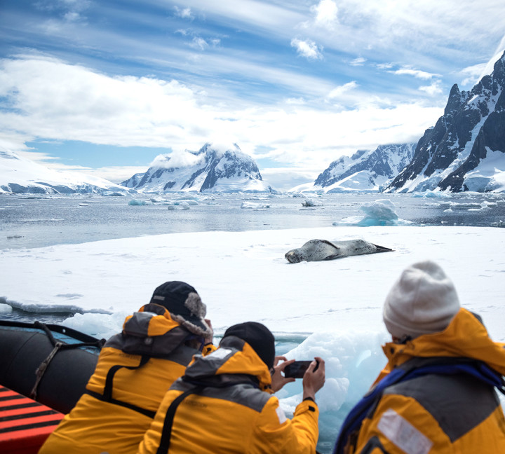 Four guests in yellow parkas look towards a Leopard seal resting on sea ice.