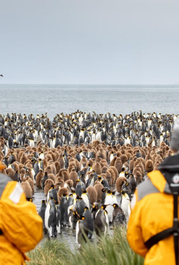 8 Days in Antarctica – The Journey of a Lifetime 