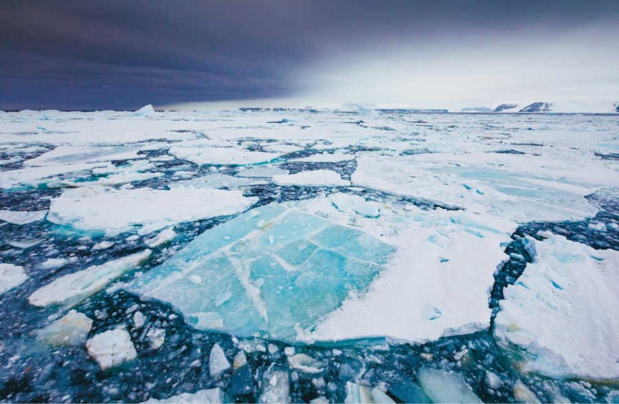 Weddell Sea ice. Photo by David Merron. 