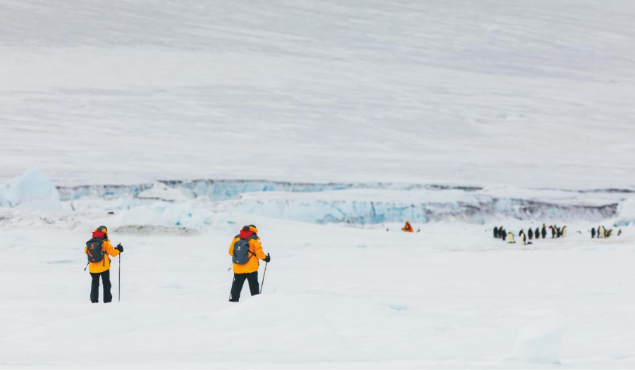 Guests hiking in Snow Hill with Emperor Penguins in the distance. Photo by David Merron. 